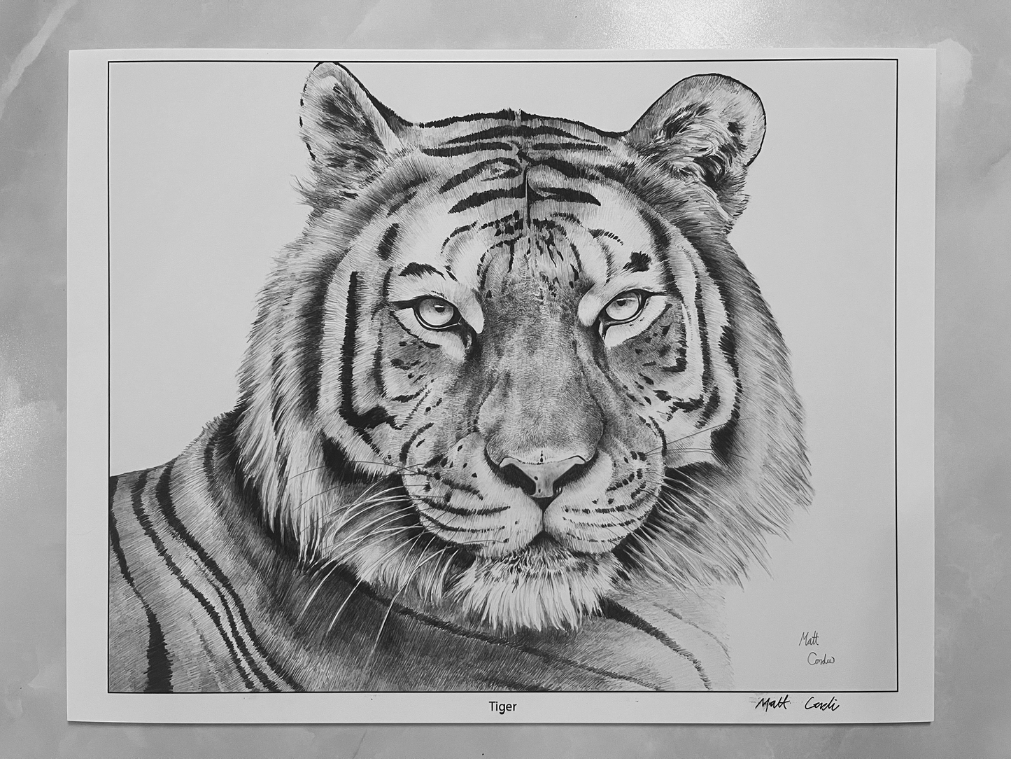 8x10 Tiger Art Print image 3