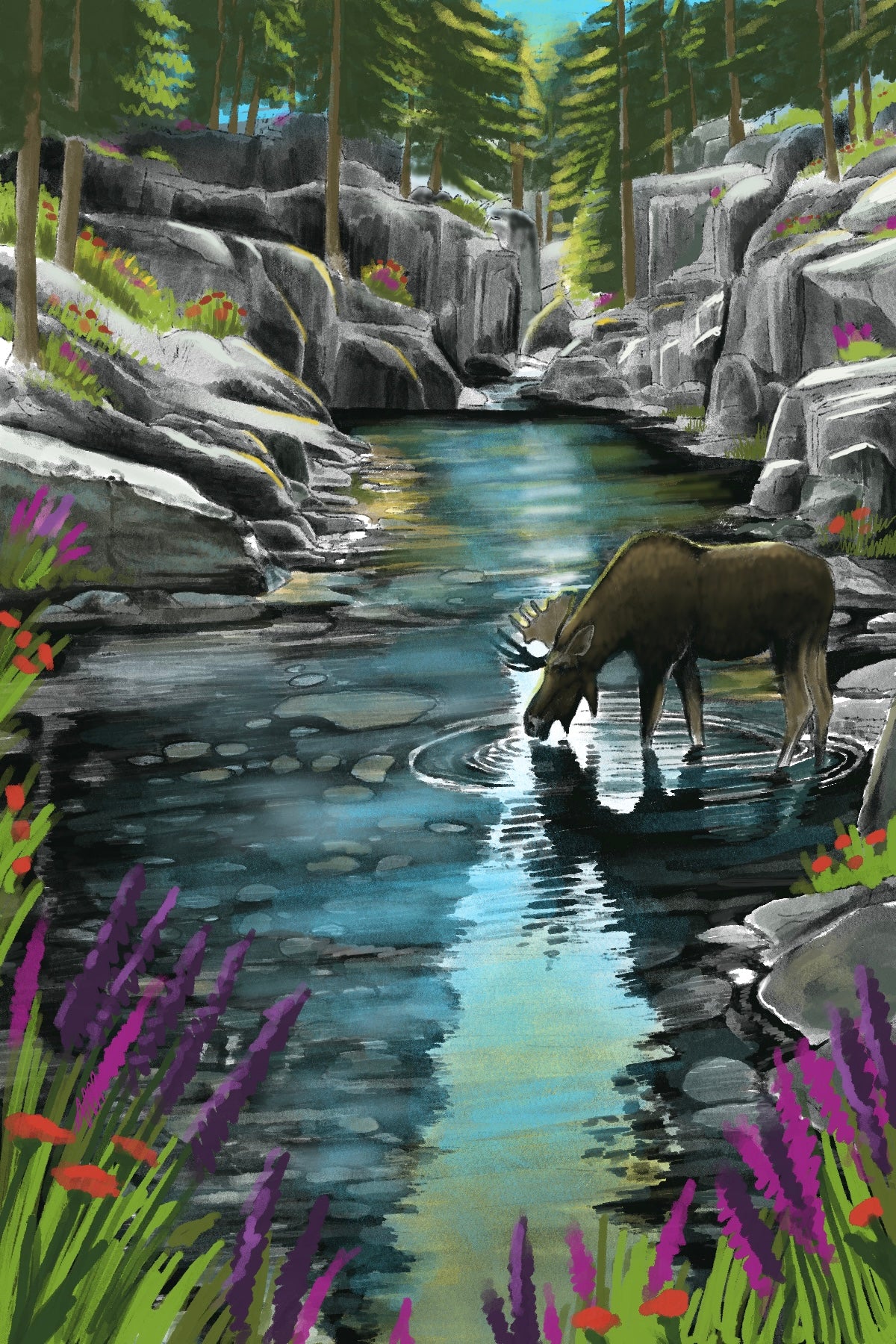 Catch Up: July 2026 Moose Print Club