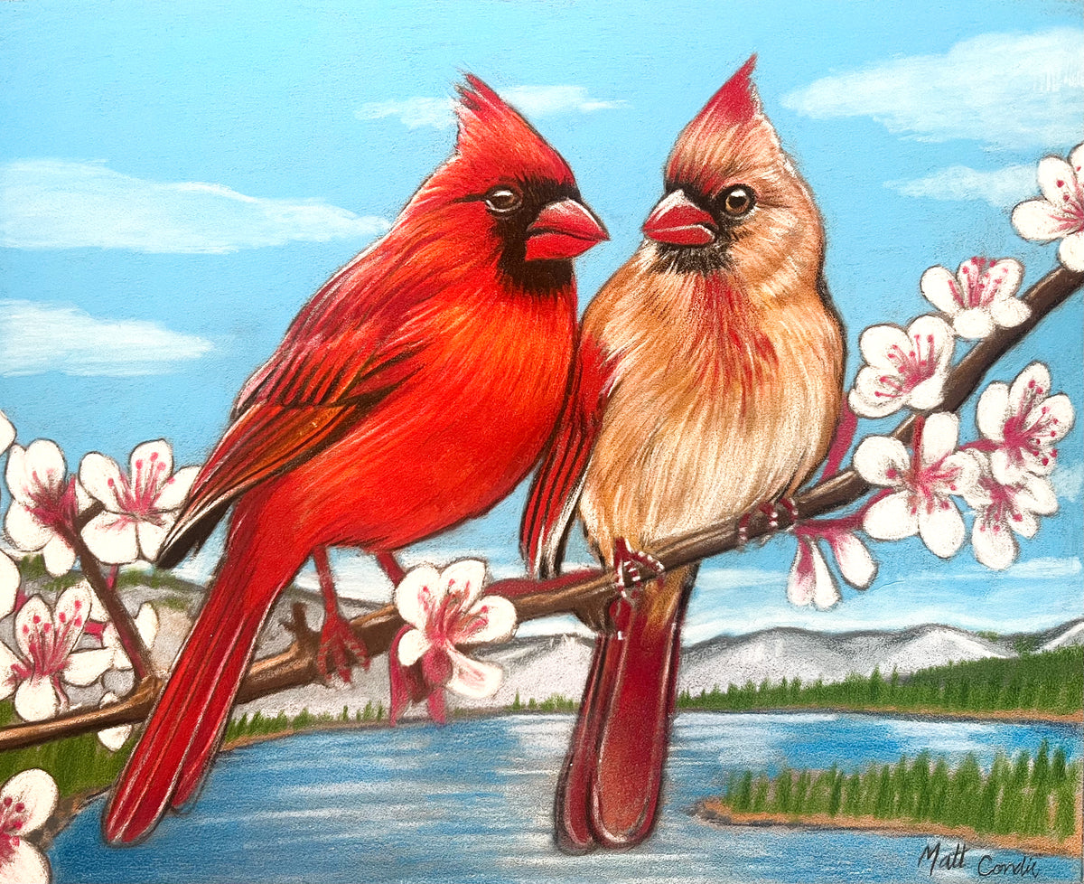 Cardinals Limited Edition Art Print image 0