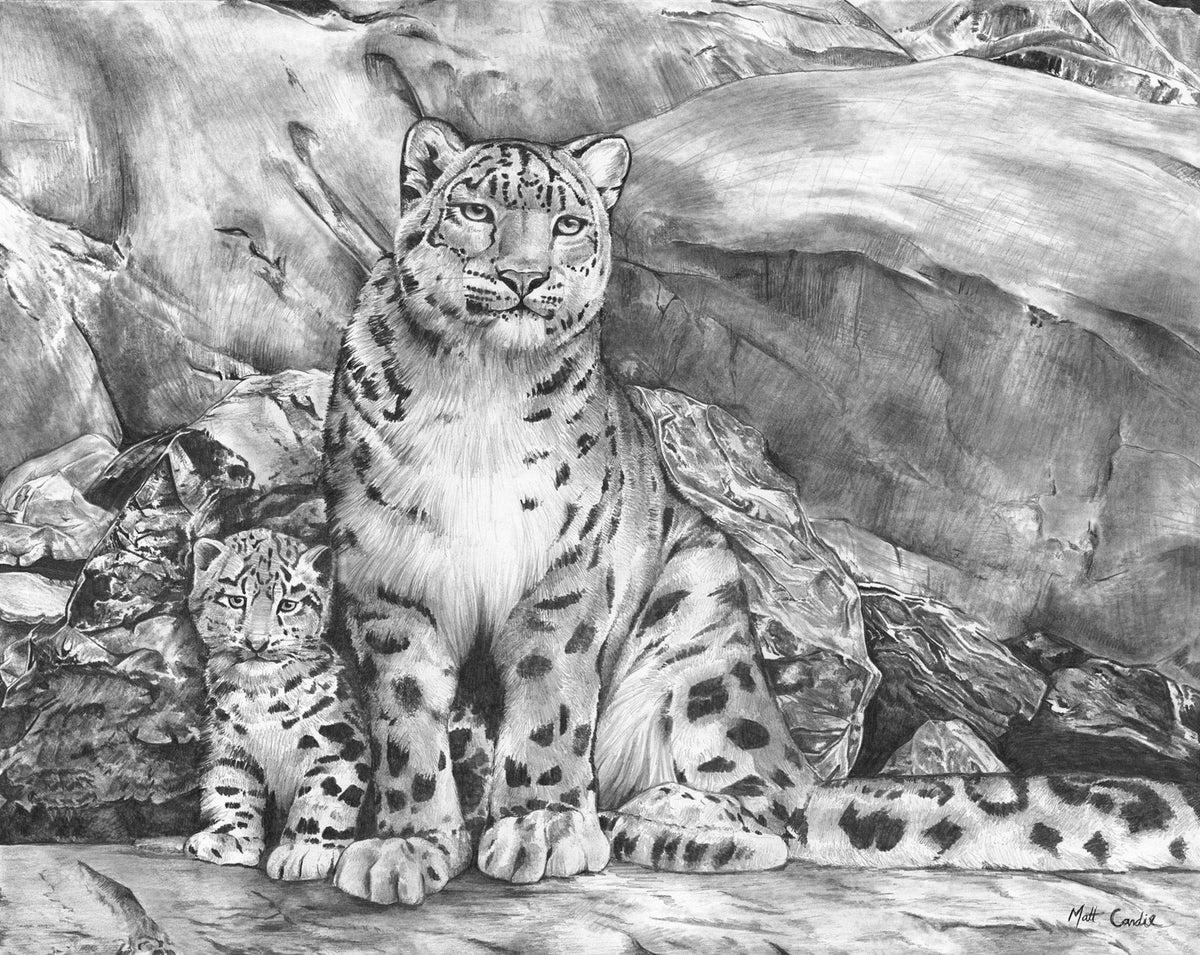 Snow Leopards | Limited Edition Print image 2