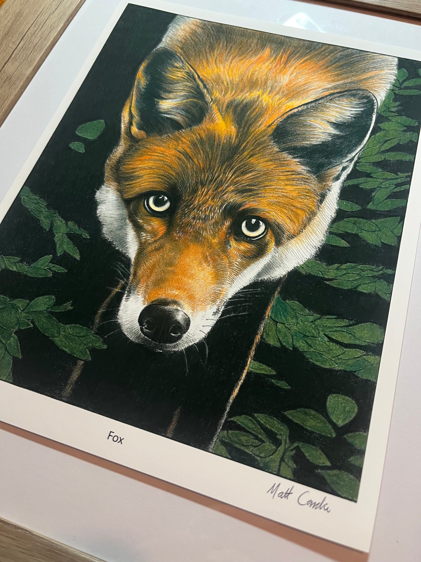 Red Fox Print