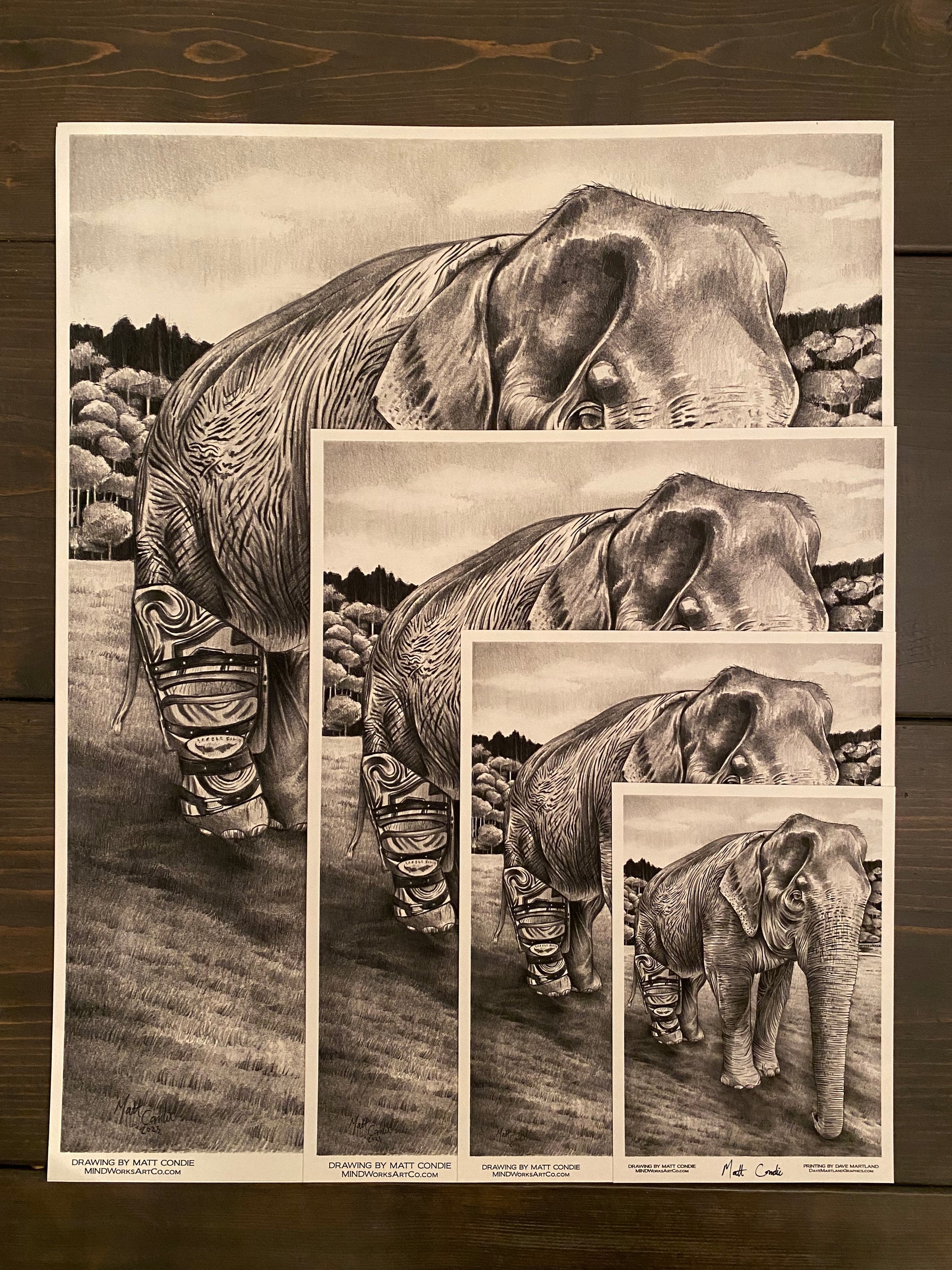 Mae Mai the Elephant image 3