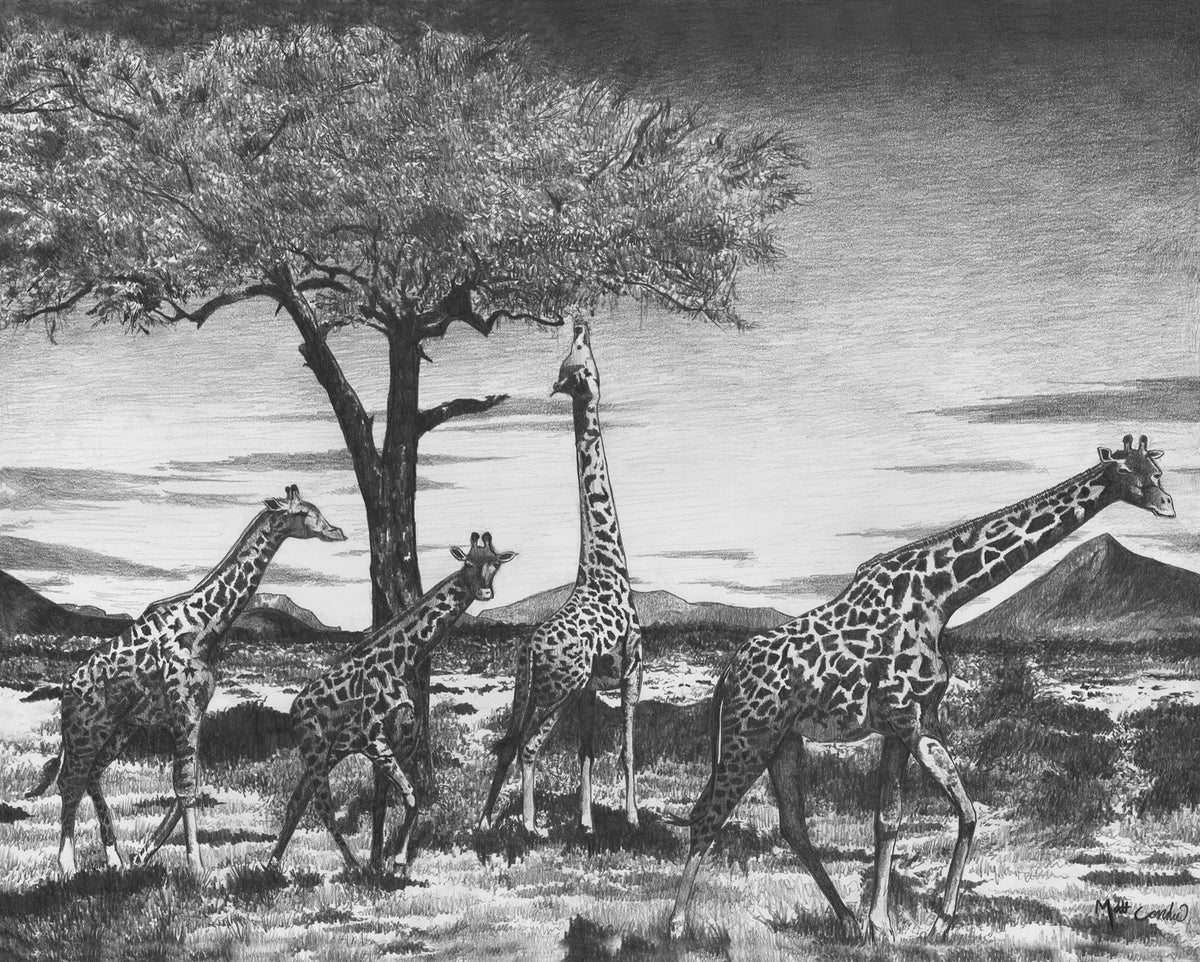 Giraffes | Limited Edition Print image 1