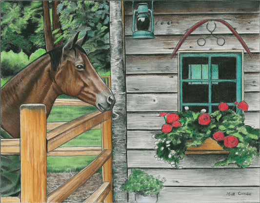 Rhythm the Horse Fine Art Print