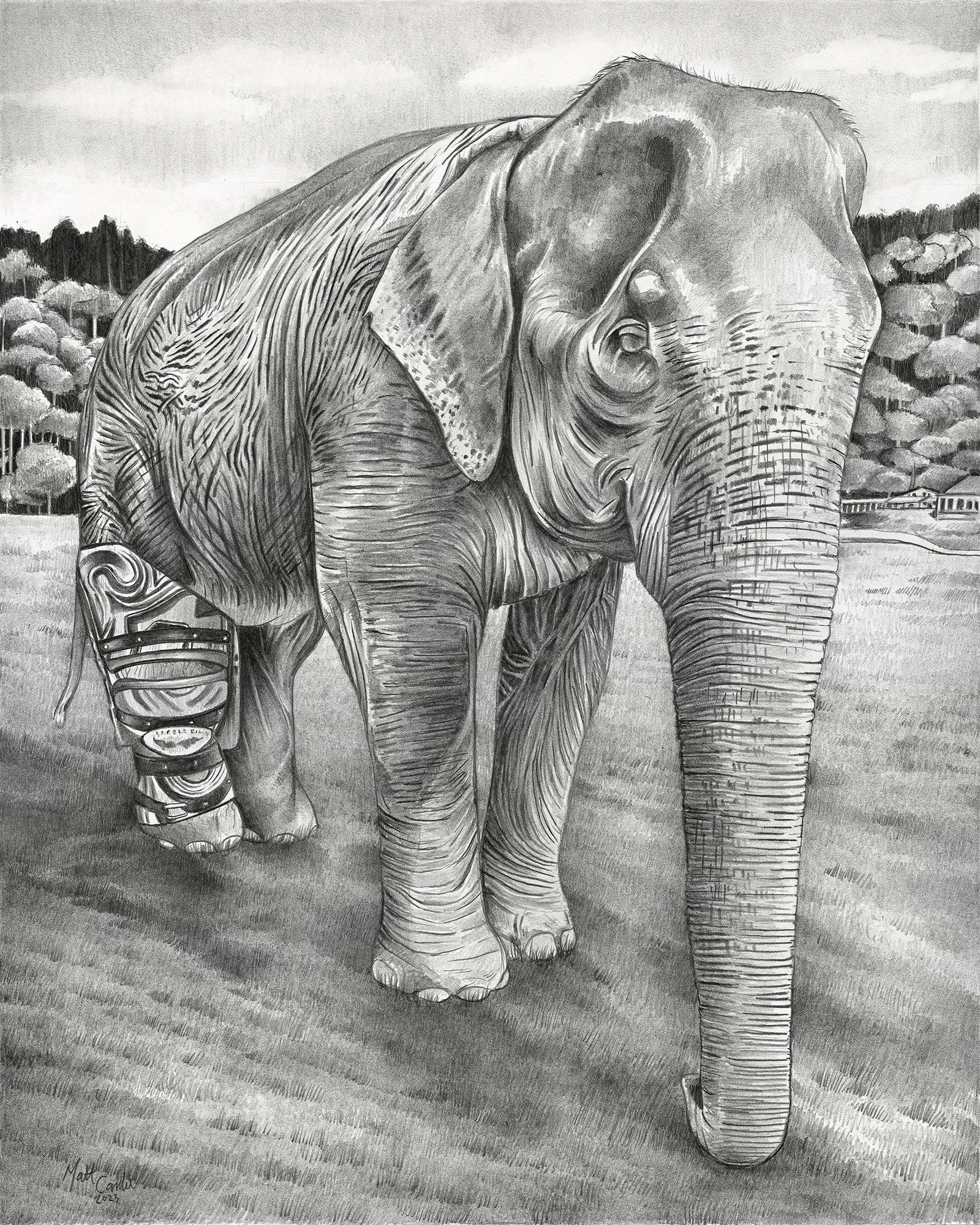 Mae Mai the Elephant image 1