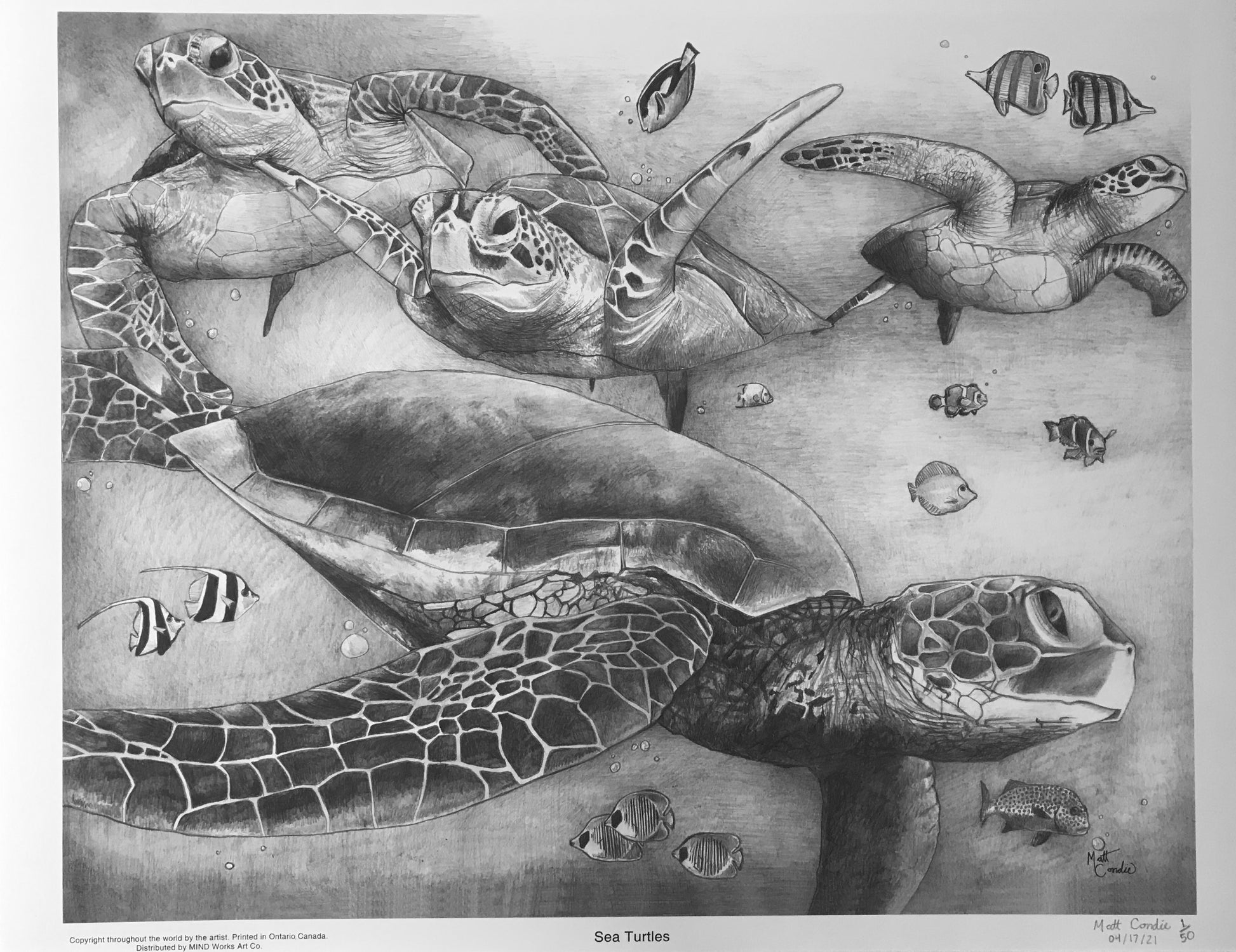 Sea Turtles | Limited Edition Print image 2