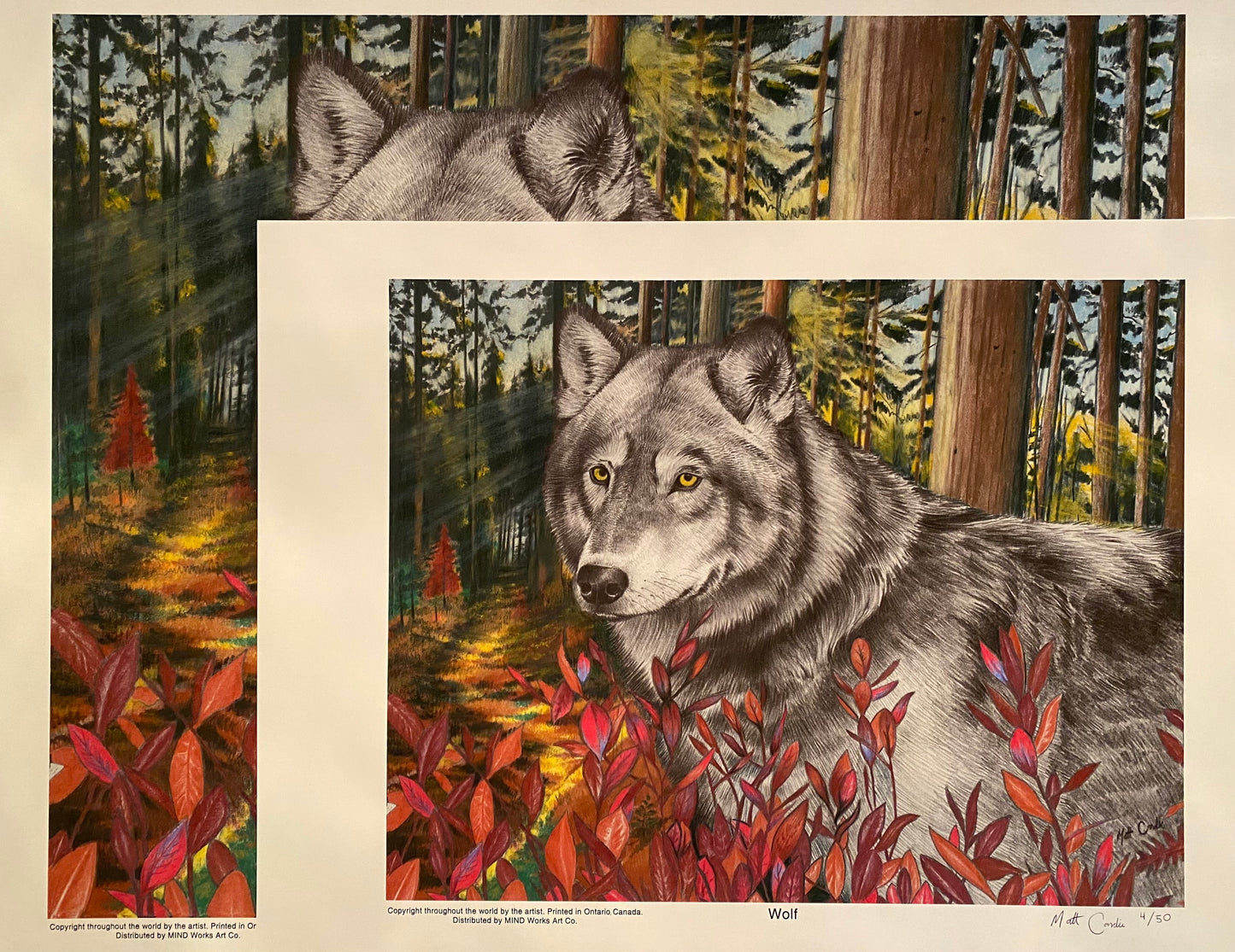 Wolf | Limited Edition Print image 5