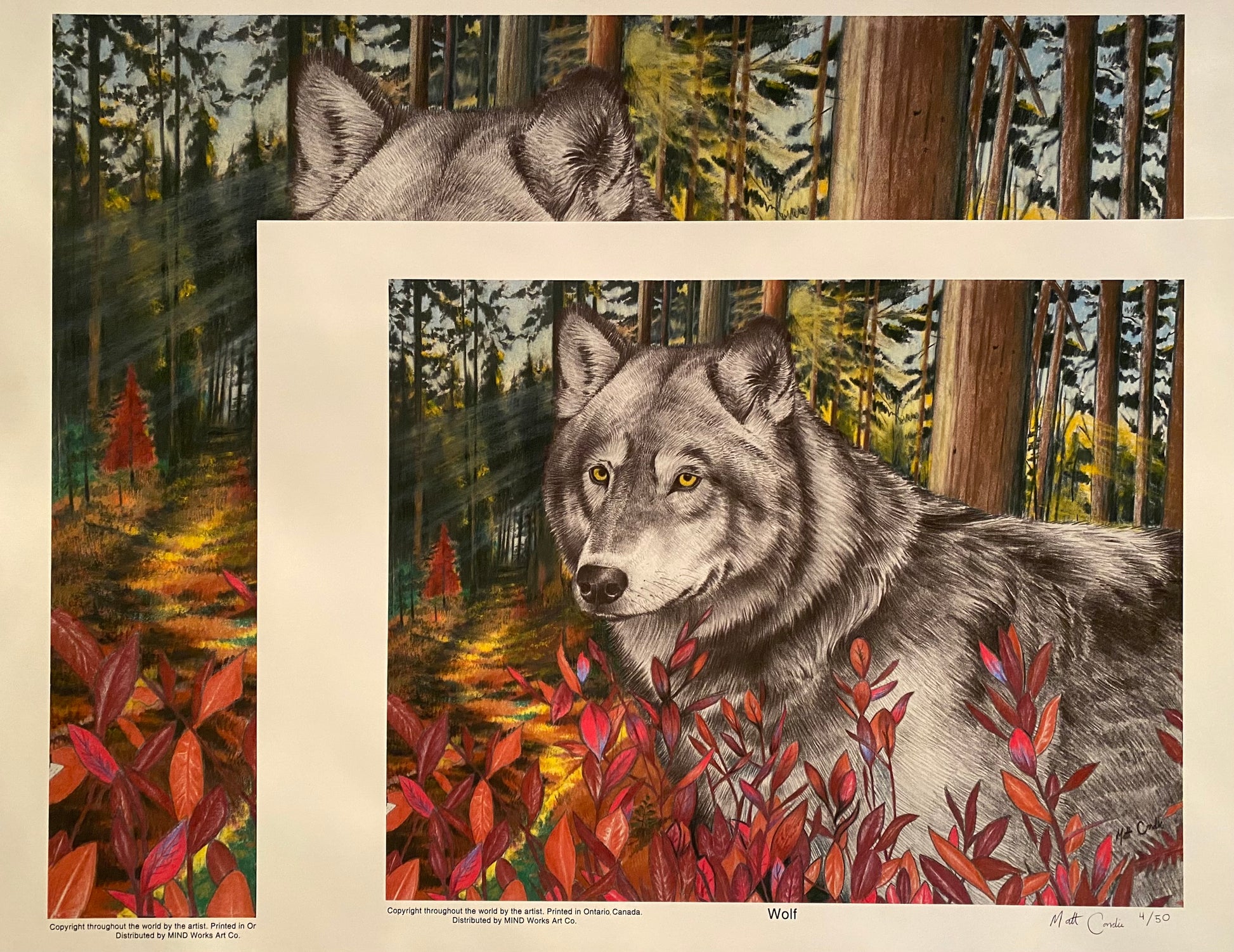 Wolf | Limited Edition Print image 5