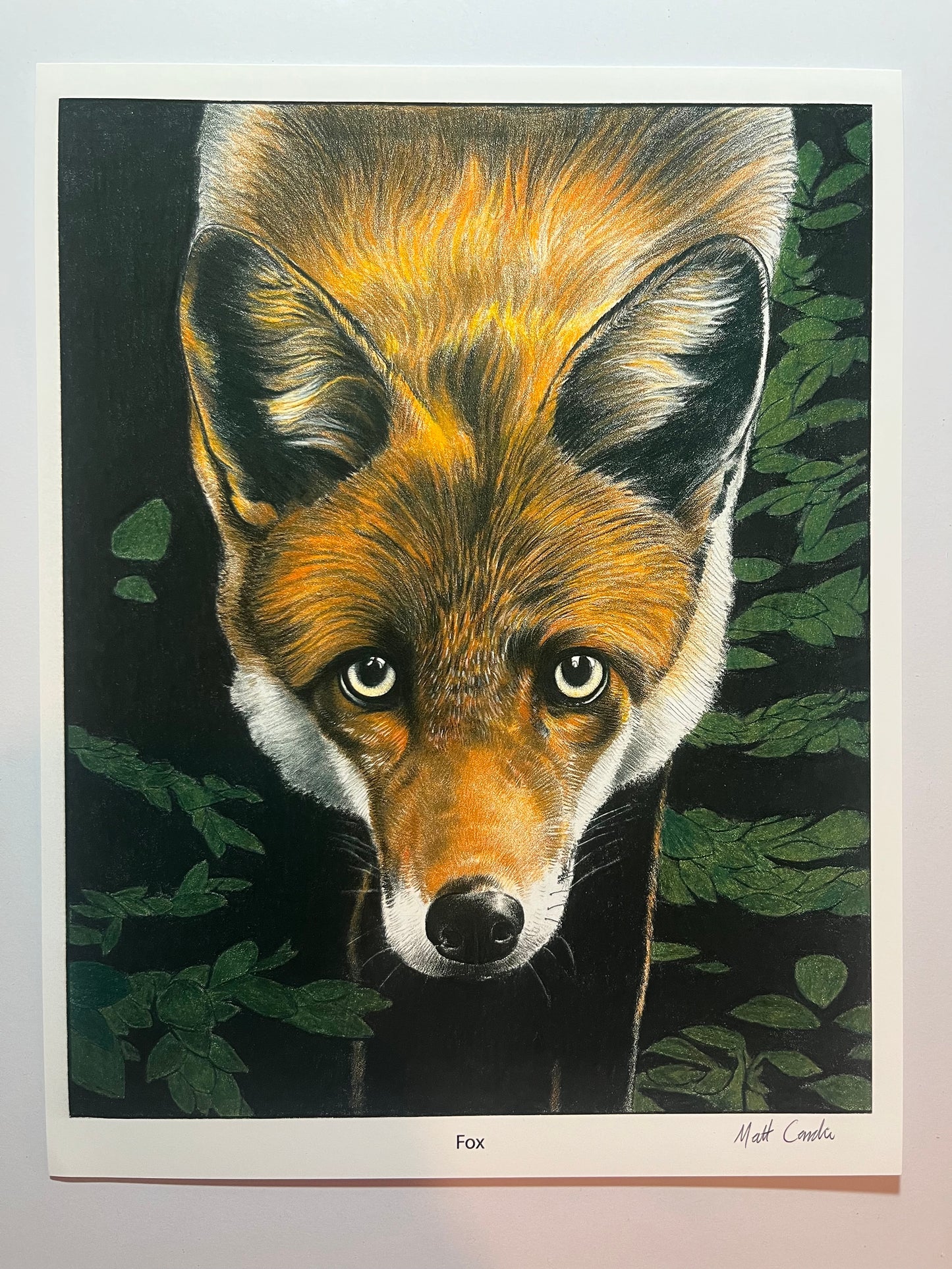 Red Fox Print