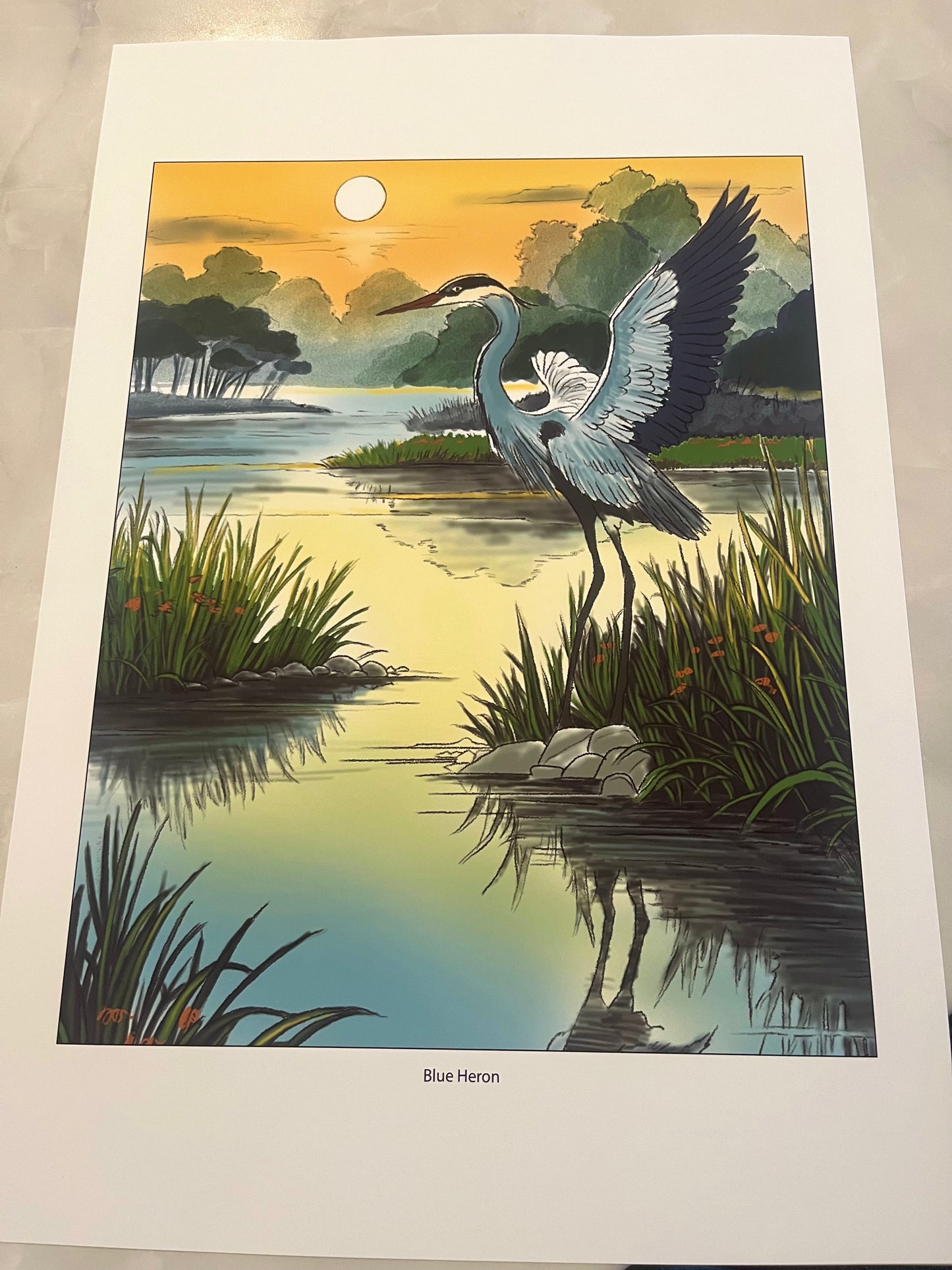 Blue Heron Fine Art Print