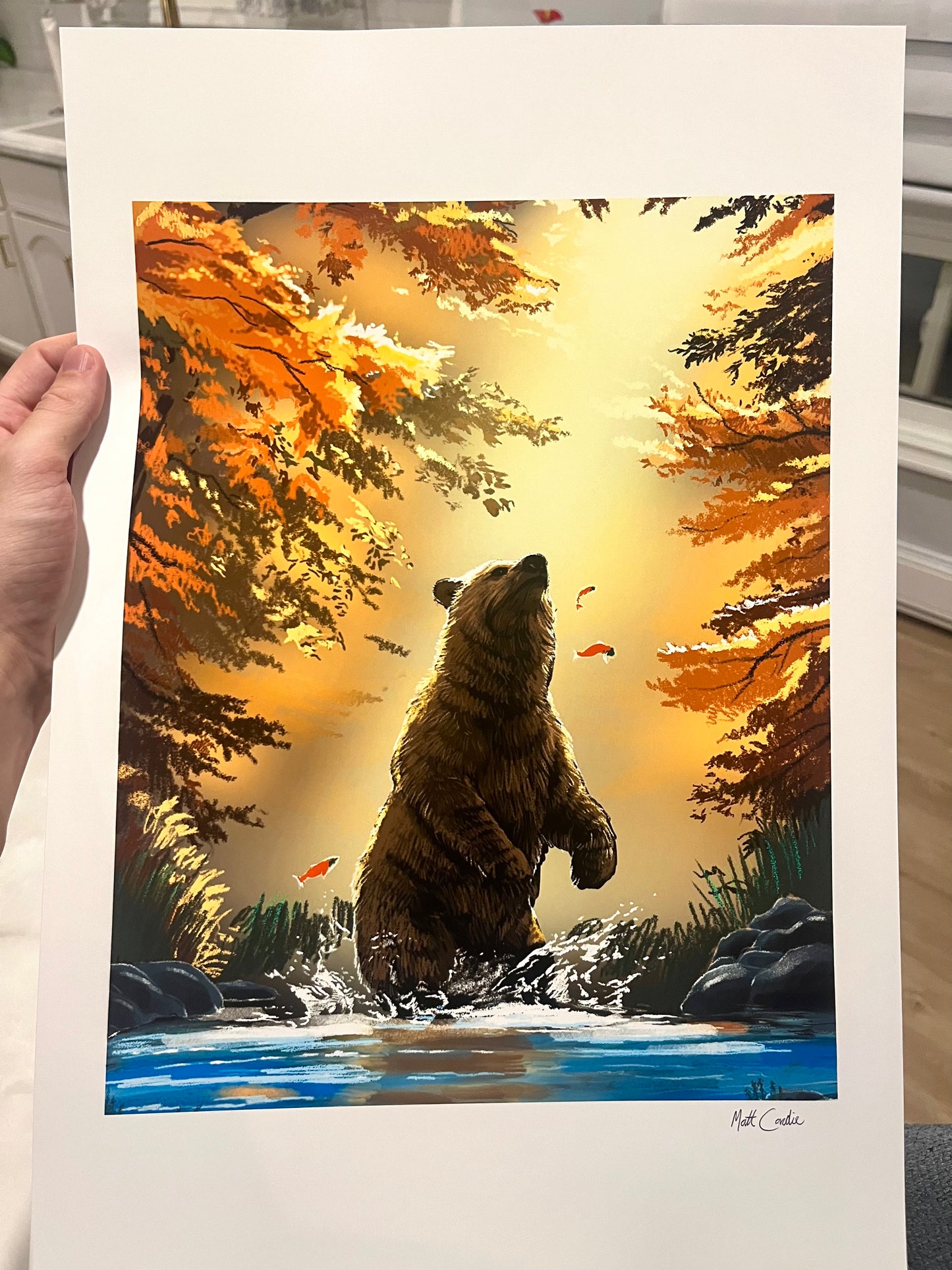 Grizzly Bear Fine Art Print