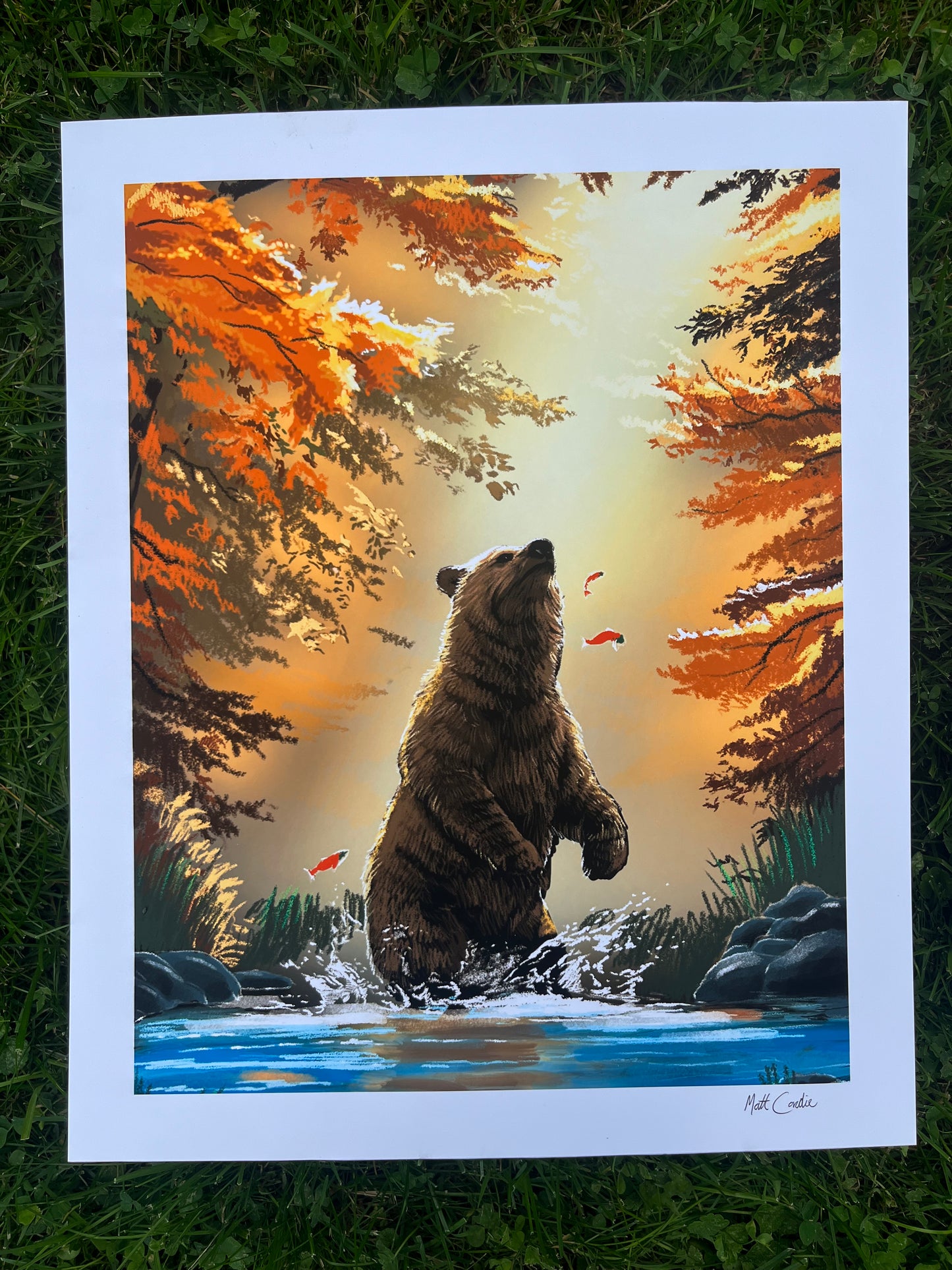 Grizzly Bear Fine Art Print