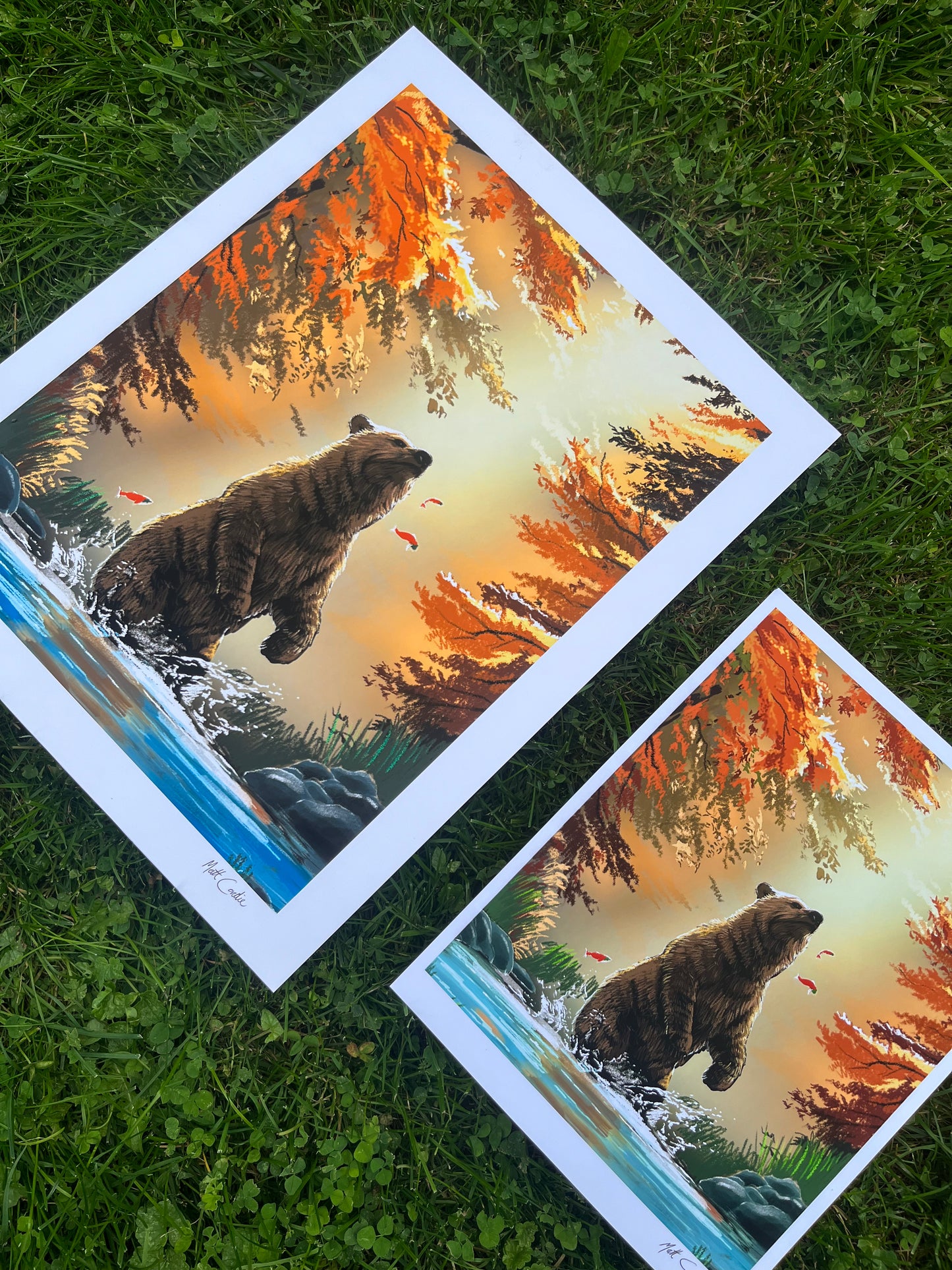 Grizzly Bear Fine Art Print