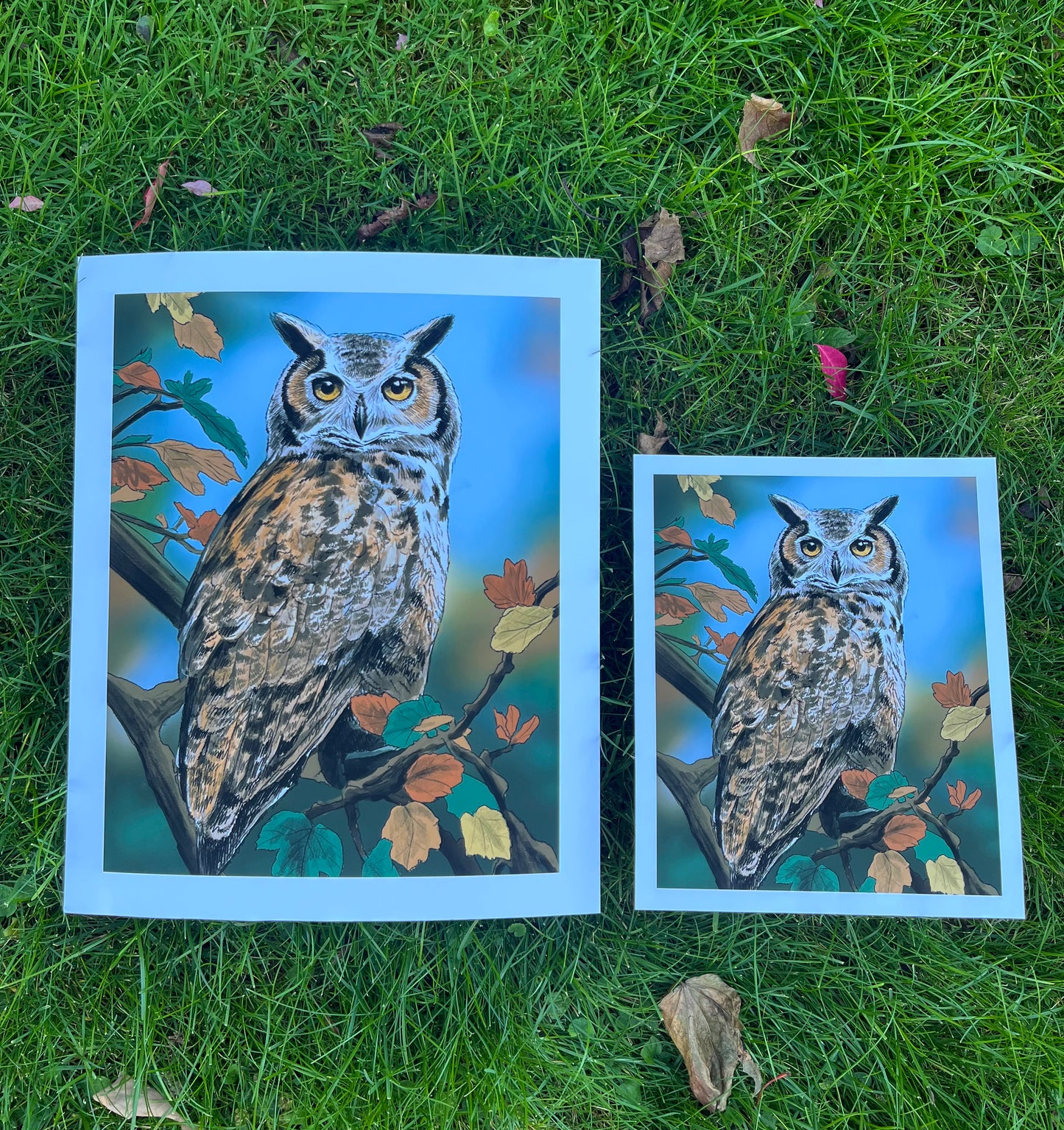 Owl Fine Art Print