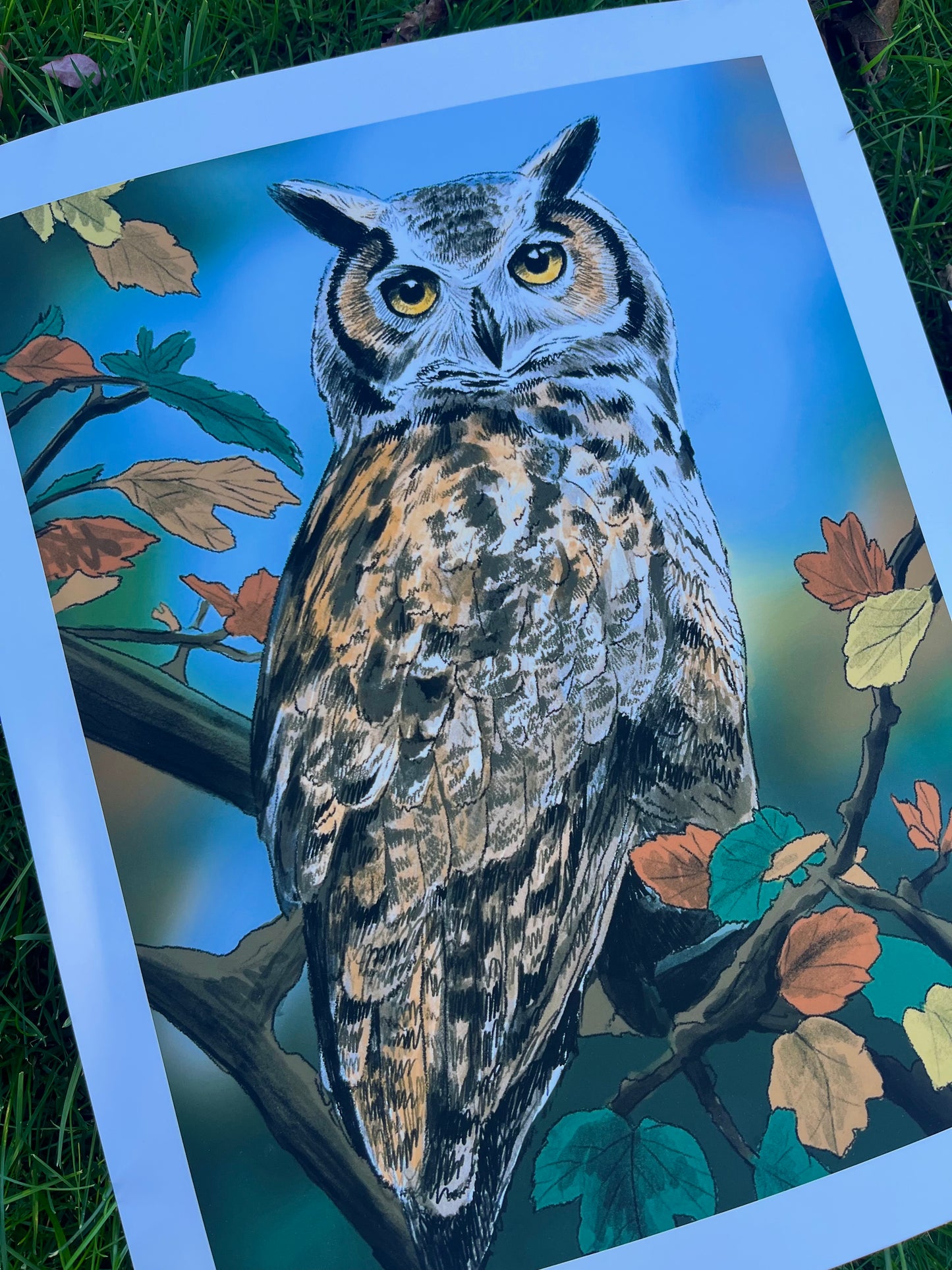 Owl Fine Art Print