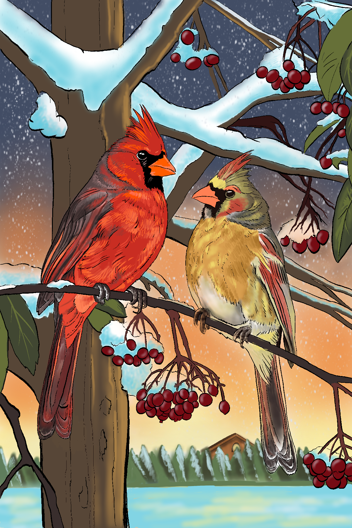 Cardinal Sunset Fine Art Print