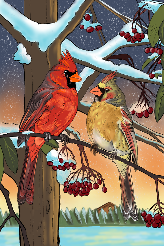 Cardinal Sunset Fine Art Print
