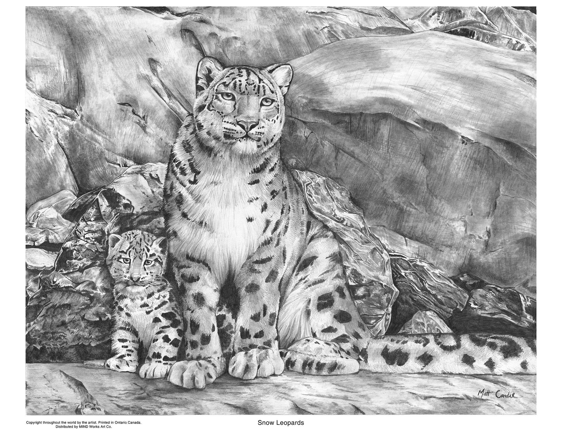 Snow Leopards | Limited Edition Print image 3