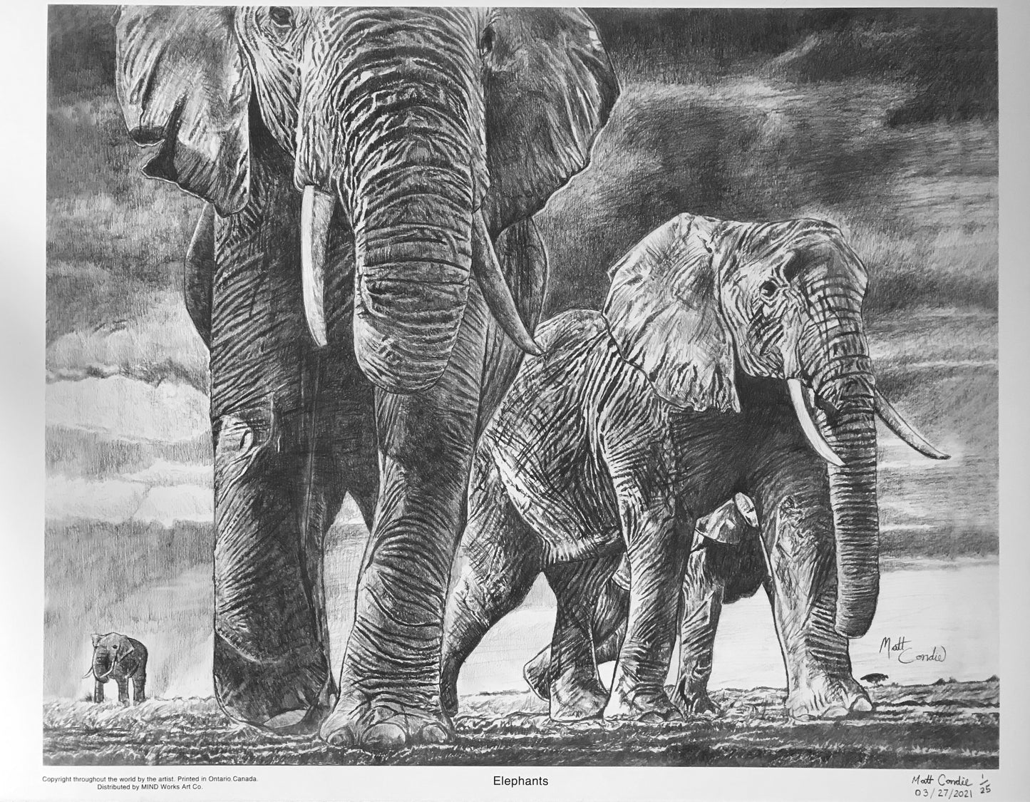 Elephant Fine Art Prints image 2