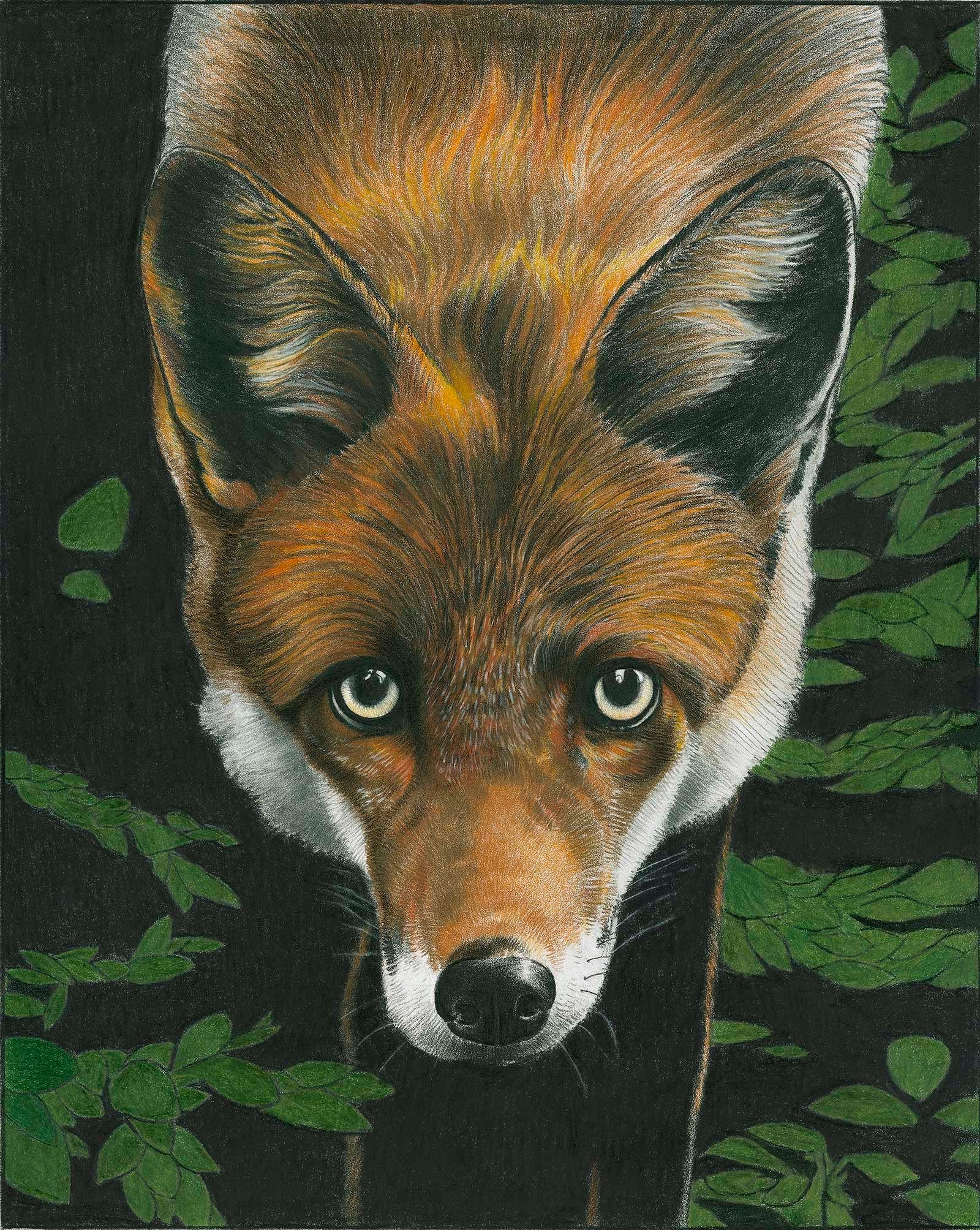 Red Fox Print image 0
