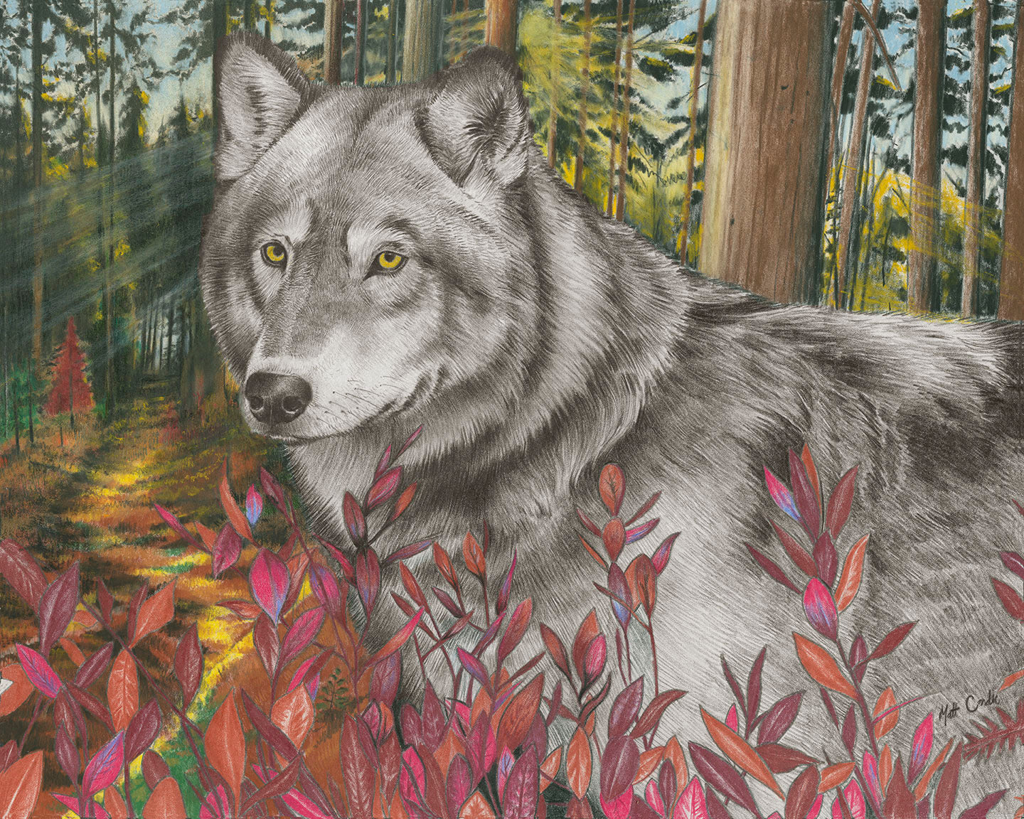 Wolf | Limited Edition Print image 0