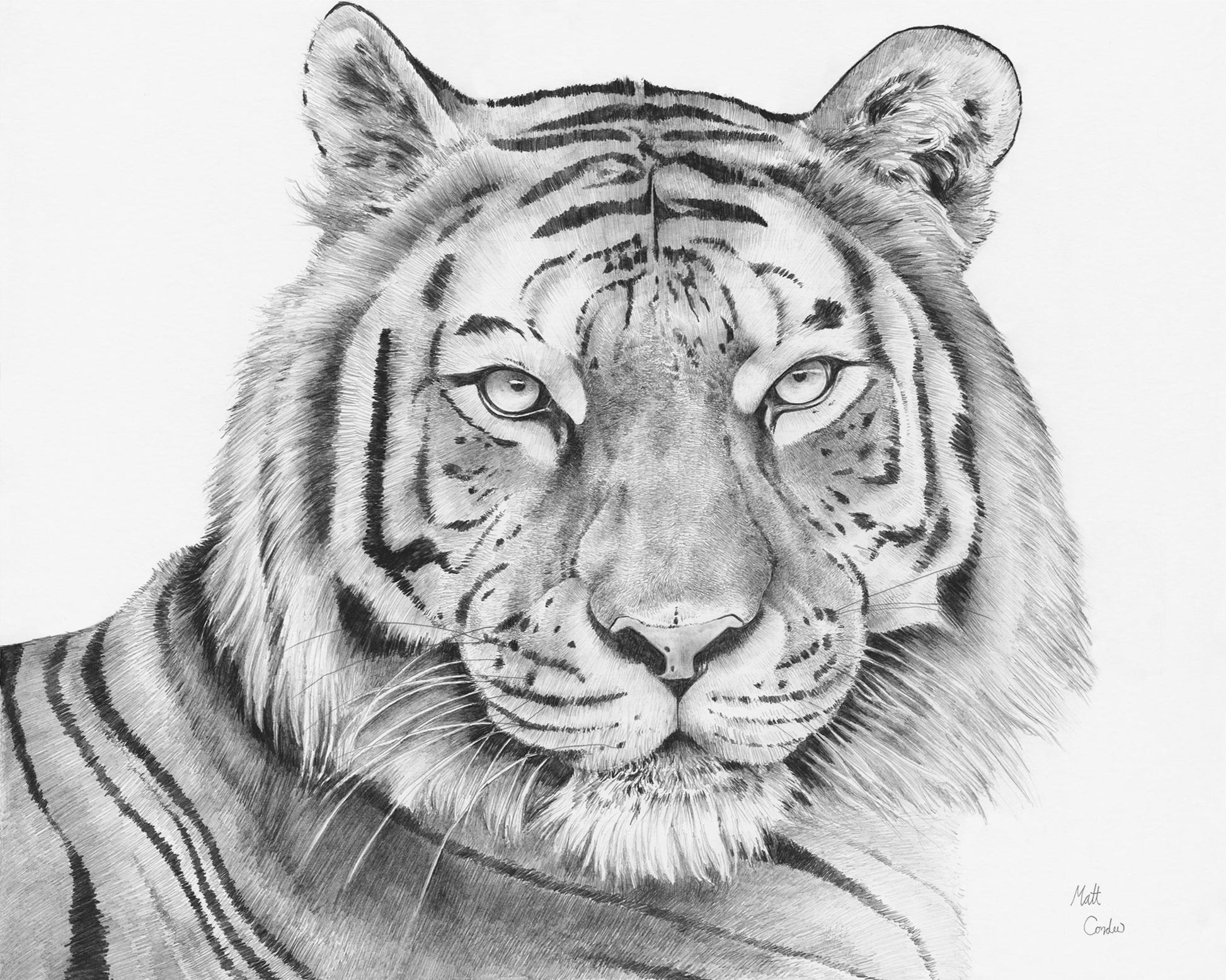 8x10 Tiger Art Print image 0