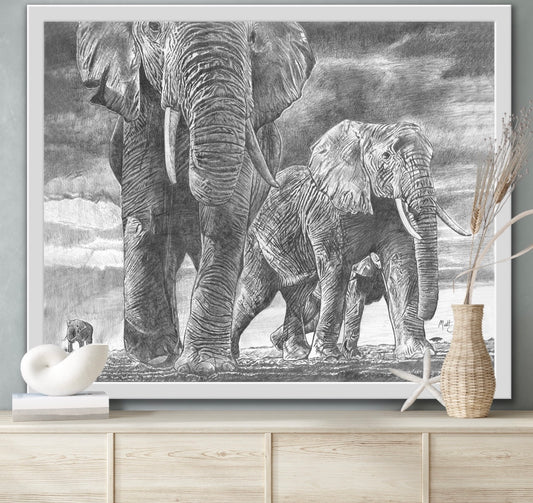 Elephant Fine Art Prints image 0