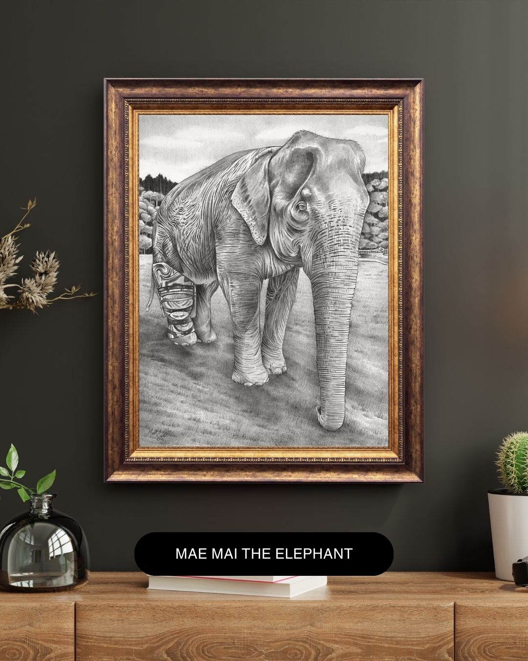 Mae Mai the Elephant image 0